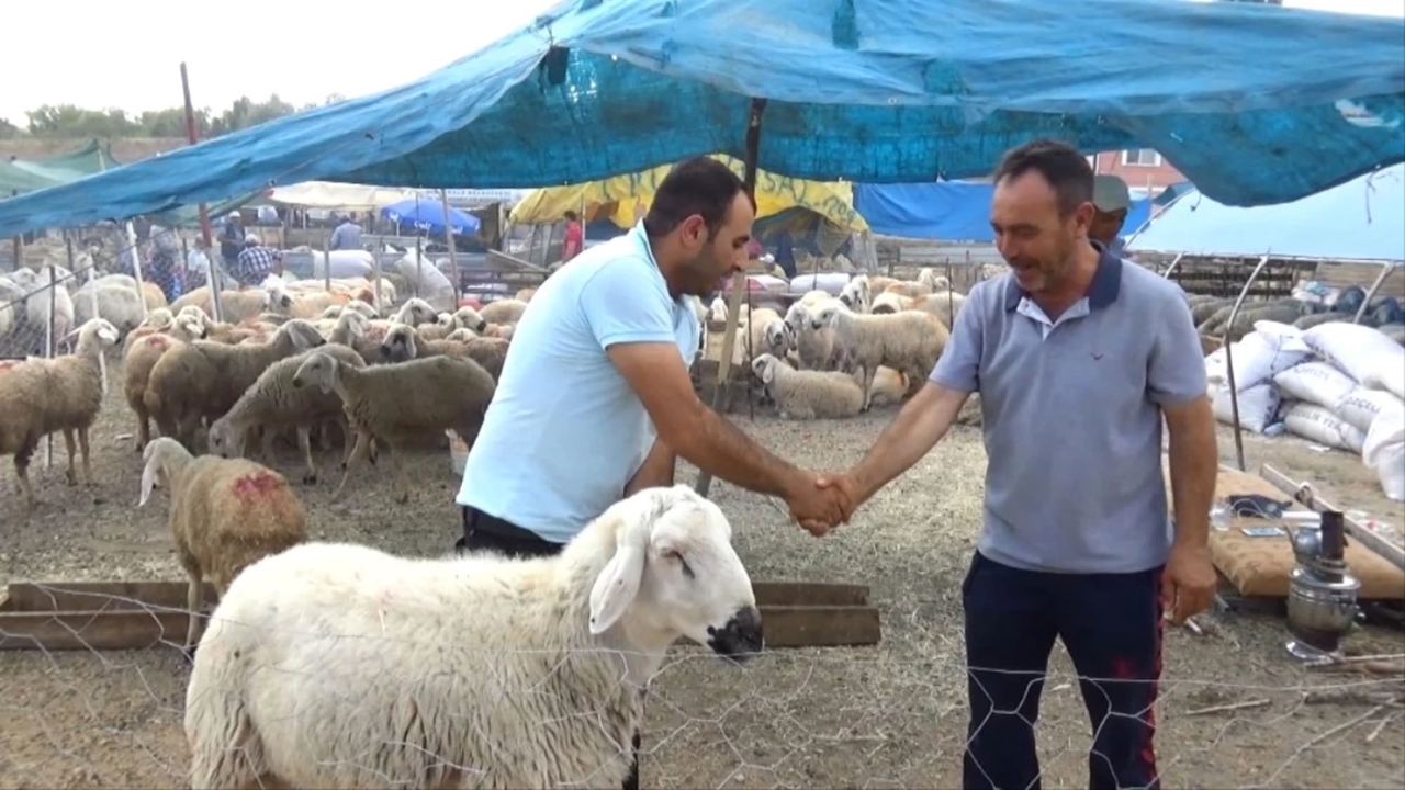 Kurban Bayramı’nda 2,7 Milyondan Fazla Kurbanlık Satıldı