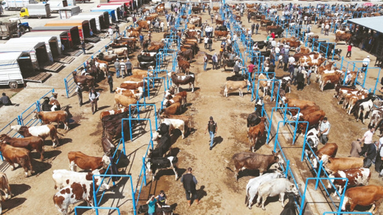 Kurban Pazarı Hareketli Ama Satışlar Durgun