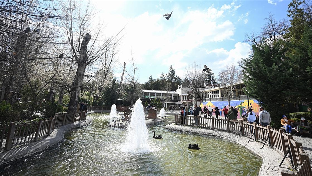 Başkentliler Güneşli Bayram Gününü Parklarda Geçirdi Haberi