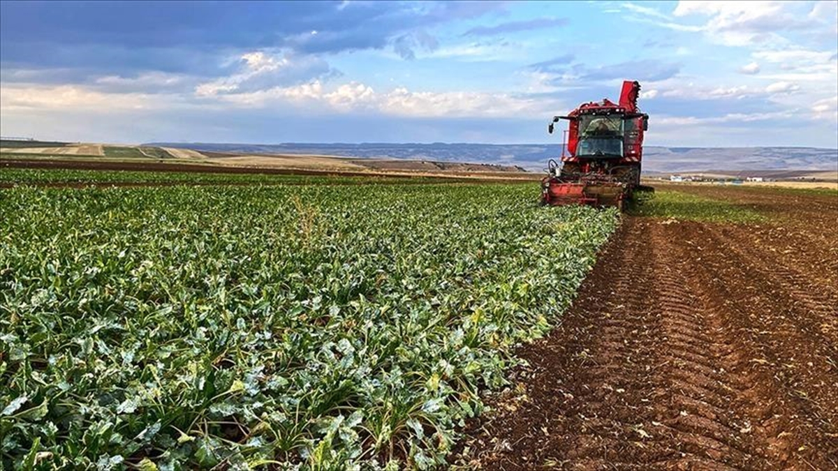 Çiftçilere 5,6 Milyar Lira Destek Ödemesine Bugün Başlanacak Haberi