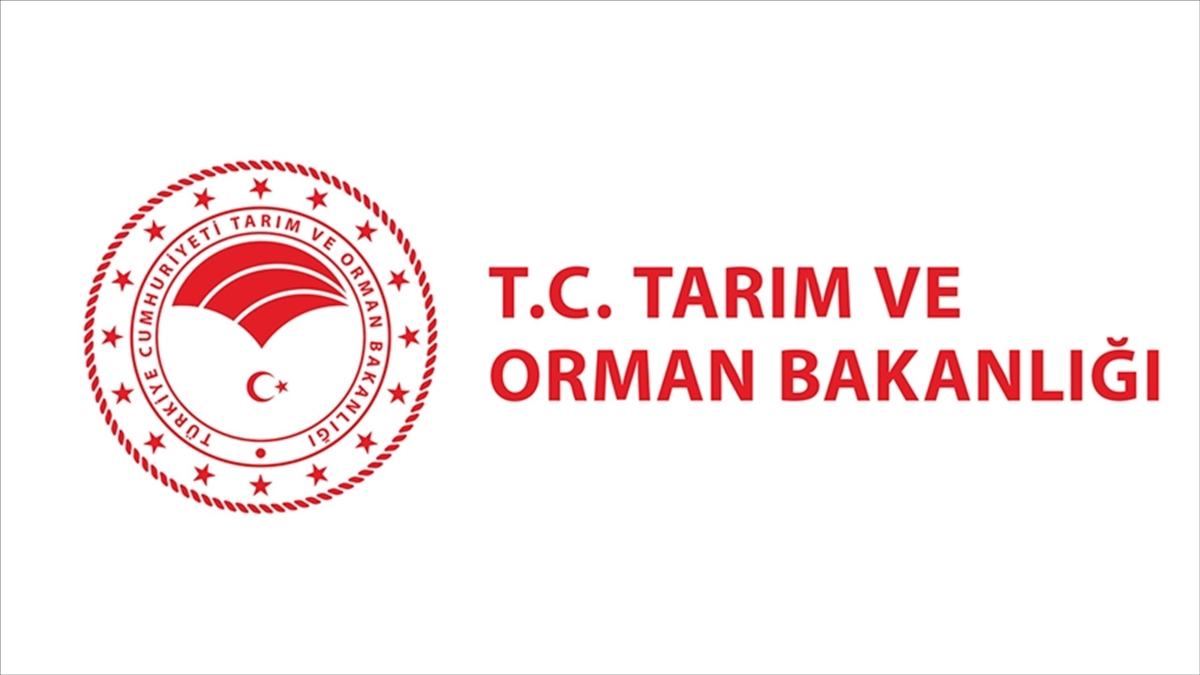 Tarım Ve Orman Bakanlığından “Tunceli’de Tavukların Gerekçesiz Itlaf Edildiği” Iddialarına Ilişkin Açıklama Haberi