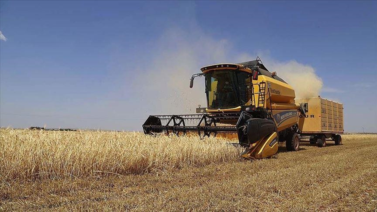 Tarımsal Girdi Fiyat Endeksi Ocakta Yıllık Bazda Yüzde 30,49, Aylık Yüzde 5,89 Arttı Haberi