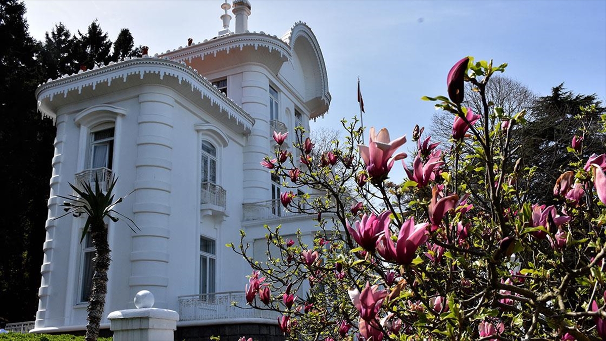 Trabzon Ilkbaharın Gelmesiyle Renklendi Haberi