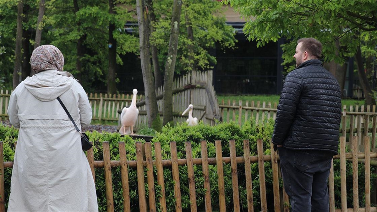 Bayram Tatilinde Doğayla Iç Içe Vakit Geçirmek Isteyenlerin Tercihi Ormanya Oldu Haberi