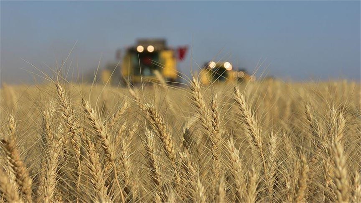 Bölgesel Çatışmalar Ve Iklim Krizi Gıda Arz Güvenliğini Olumsuz Etkiliyor Haberi