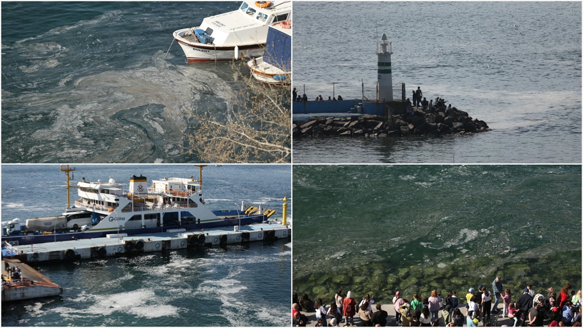Çanakkale Sahillerinde Müsilaj Görüldü Haberi