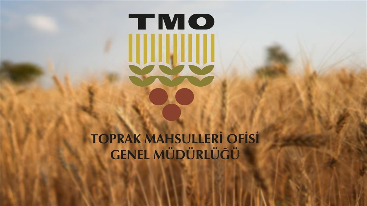 Tmo, “Halka Arz” Ve “Devlet Güvenceli Yatırım” Gibi Dolandırıcılık Amaçlı Paylaşımlara Karşı Uyardı Haberi